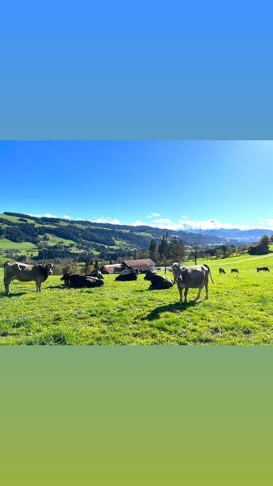 Allgaeu Cottage - Traumhafter Blick In Die Schweizer Berge ไวเลอร์-ซิมเมอร์แบร์ก ภายนอก รูปภาพ
