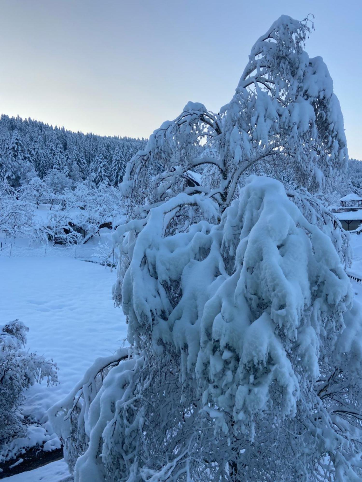 Allgaeu Cottage - Traumhafter Blick In Die Schweizer Berge ไวเลอร์-ซิมเมอร์แบร์ก ภายนอก รูปภาพ