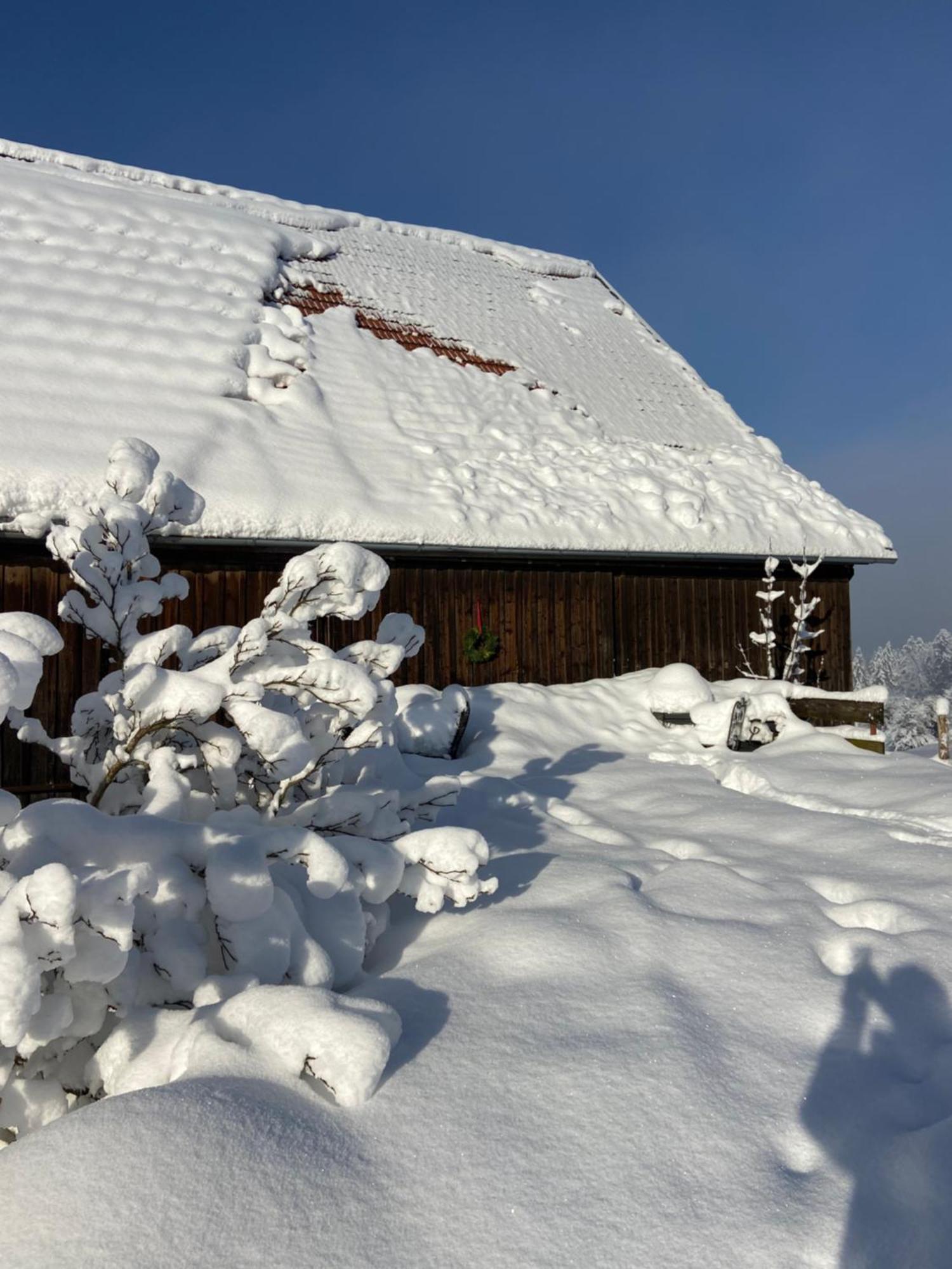 Allgaeu Cottage - Traumhafter Blick In Die Schweizer Berge ไวเลอร์-ซิมเมอร์แบร์ก ภายนอก รูปภาพ